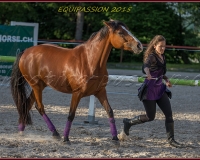 2-13JUIN 0726